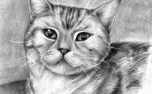 Как рисовать что-нибудь красивое. Что можно нарисовать когда скучно