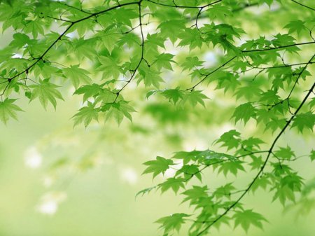 Как рисовать что-нибудь красивое. Что можно нарисовать когда скучно