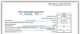 Формы бухгалтерской отчетности